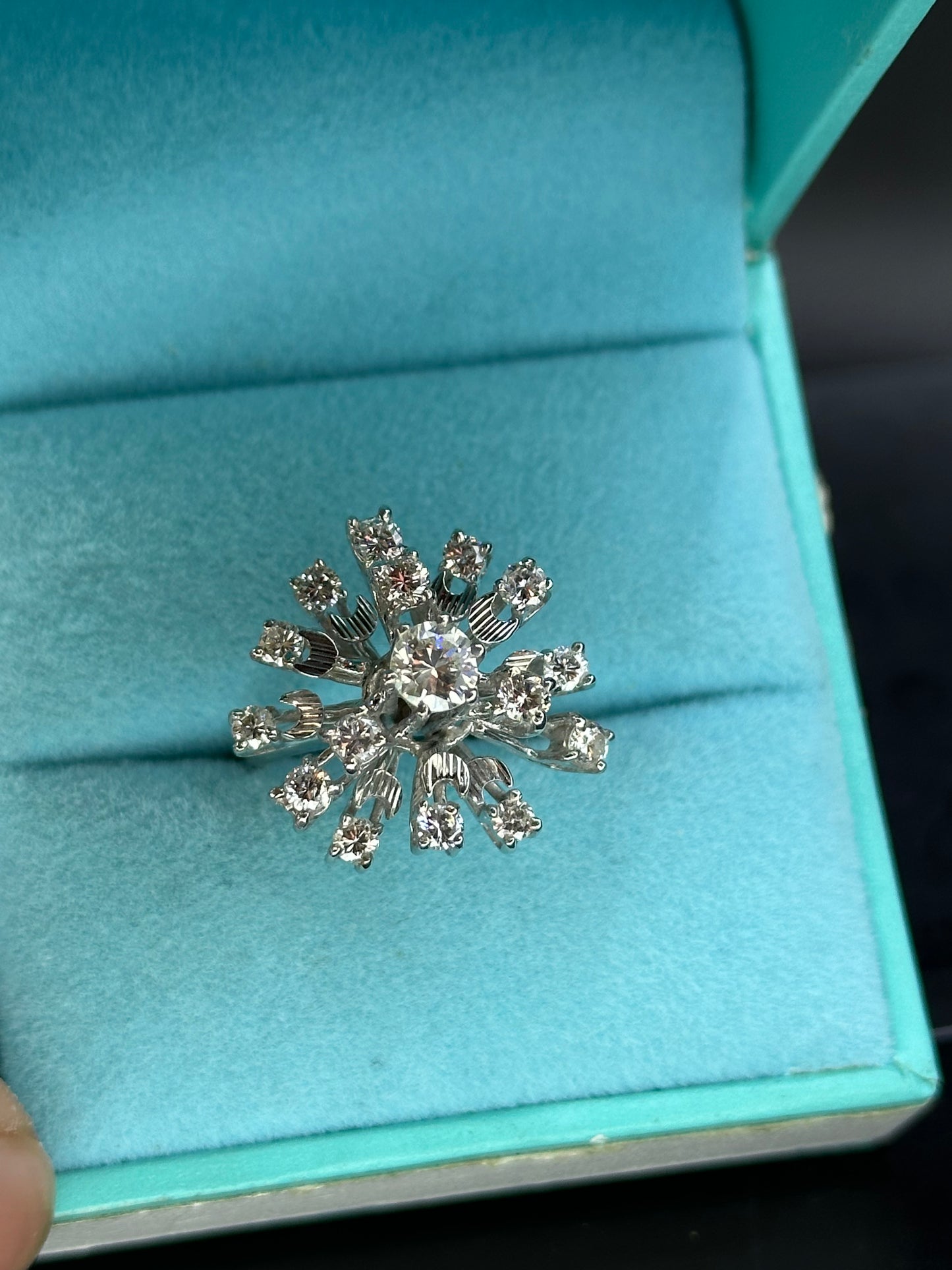 Anillo especial