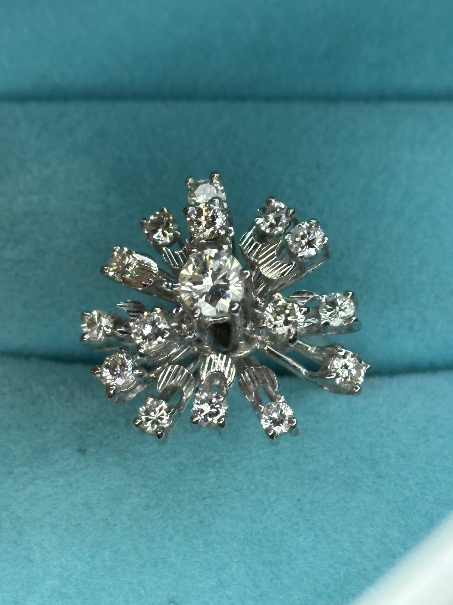 Anillo especial