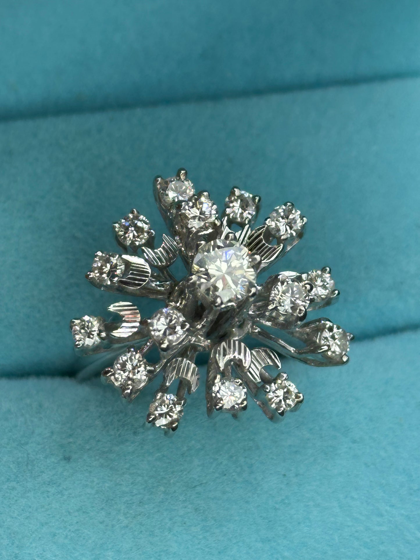 Anillo especial