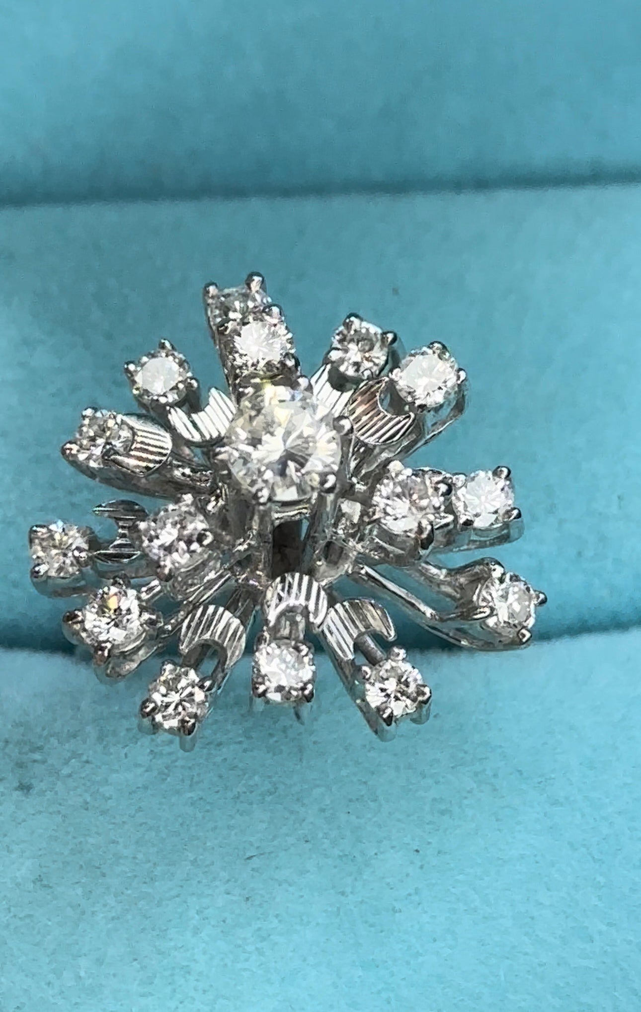 Anillo especial
