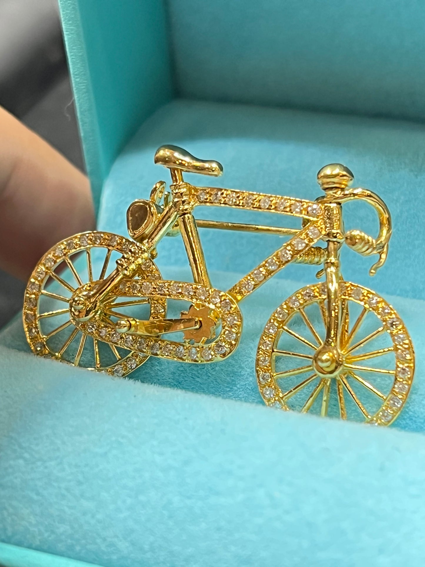 Bicicleta prendedor